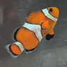 zakkbob