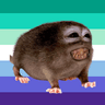 uwu