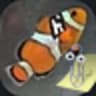 zakkbob