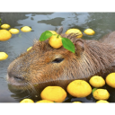 capybara emoji