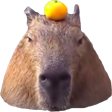 capybaraa emoji