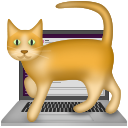 cat-on-the-laptop emoji