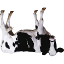 cow-pun emoji