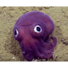 hooray-squid emoji