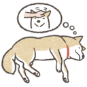 shiba-dreams emoji