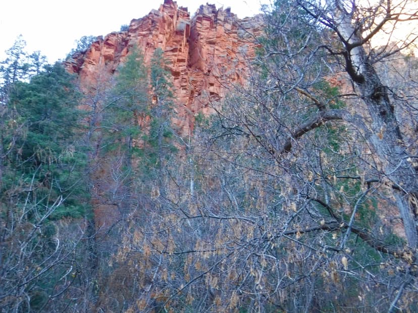 https://scrapbook-into-the-redwoods.s3.amazonaws.com/4582cbe3-4c49-4dd7-adf1-3c25004767ba-047c2bba-32ea-4092-ab66-1fe9f653e0b6_1_201_a.jpeg https://scrapbook-into-the-redwoods.s3.amazonaws.com/4582cbe3-4c49-4dd7-adf1-3c25004767ba-047c2bba-32ea-4092-ab66-1fe9f653e0b6_1_201_a.jpeg